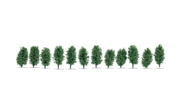 NOCH 21547 - N/TT/H0 - Thuja-Hecke, 3 cm (12 Stück)